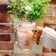 Sanrio Hello Kitty Drinkware Kuromi My Melody Cinnamoroll Glass Water Straw Cup Home Baby Milk Cup Lid Kids Creative - Jewelrieshub - - jewelrieshub.com - Jewelrieshub - 